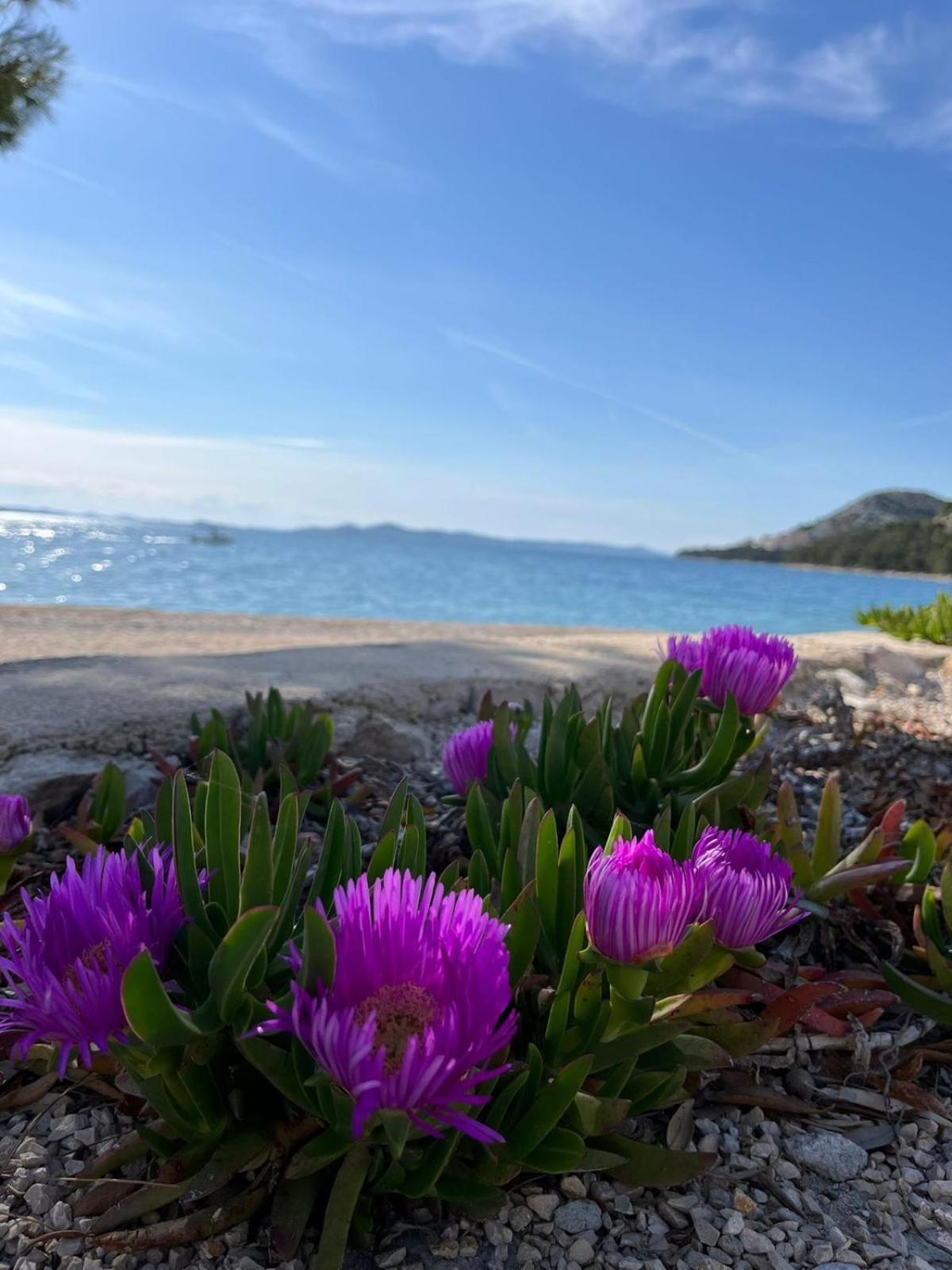 Eco Resort Buqez Villa 34 Drage Bagian luar foto